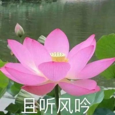 严防“物传人” 杭州部分进口商品专业卖场暂停经营